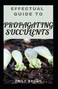 Paperback Effectual Guide To Propagating Succulents Book