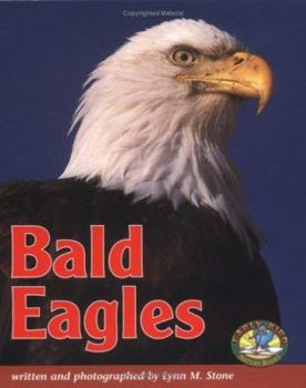 Library Binding Bald Eagles Book