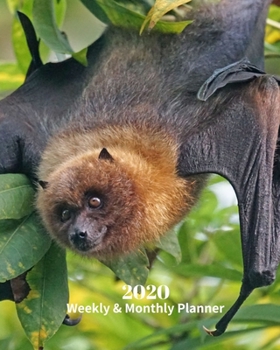 Paperback 2020 Weekly and Monthly Planner: Black Bat - Monthly Calendar with U.S./UK/ Canadian/Christian/Jewish/Muslim Holidays- Calendar in Review/Notes 8 x 10 Book