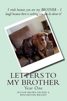 Paperback Letters to My Brother: Year One Book