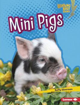 Mini Pigs - Book  of the Little Pets