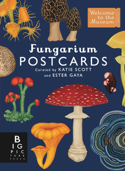 Cards Fungarium Postcard Box Set Book