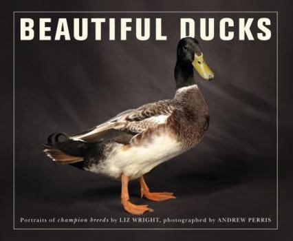 Paperback Beautiful Ducks: Portraits of Champion Breeds Book