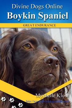 Boykin Spaniels: Divine Dogs Online