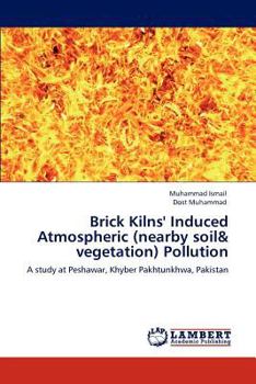 Paperback Brick Kilns' Induced Atmospheric (nearby soil & vegetation) Pollution Book