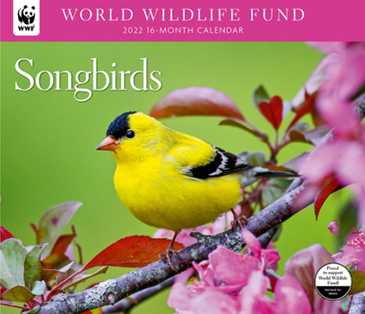 Calendar Songbirds WWF 2022 Wall Calendar Book