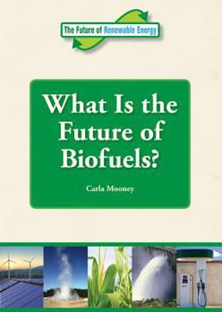 Library Binding What Is the Future of Biofuels? Book