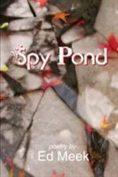 Paperback Spy Pond Book