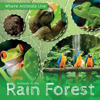 Paperback Animals in the Rain Forest Book