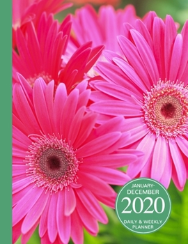 January - December 2020 Daily & Weekly Planner: 1 Year Personal Calendar; Hot Pink Gerbera Daisy