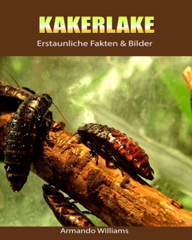 Paperback Kakerlake: Erstaunliche Fakten & Bilder [German] Book