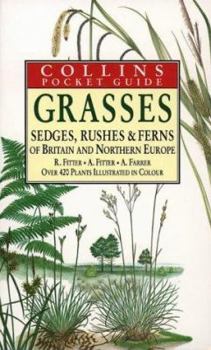 Paperback Grasses, Sedges, Rushes and Ferns of Britain and Northern Europe Book