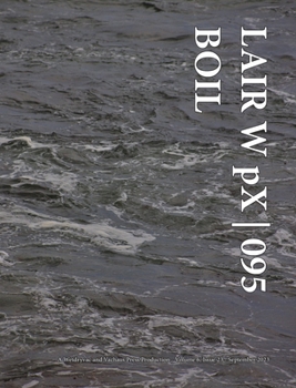 Hardcover LAIR W pX 095 Boil Book