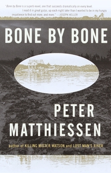 Bone by Bone - Book #3 of the Shadow Country Trilogy