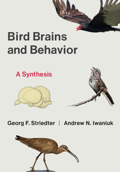 Paperback Bird Brains and Behavior: A Synthesis Book