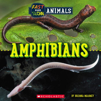 Paperback Amphibians (Wild World: Fast and Slow Animals) Book