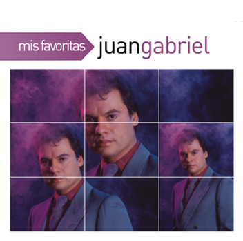 Vinyl Mis Favoritas Book