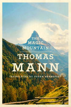 Hardcover The Magic Mountain Book