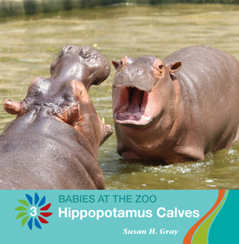 Paperback Hippopotamus Calves Book