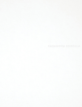 Paperback Casanova Sorolla Book