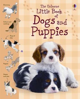 Hardcover The Usborne Little Book of Dogs and Puppies Book
