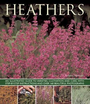 Paperback Heathers: An Illustrated Guide to Varieties, Cultivation and Care, with Wtep-By-Step Instructions and Over 160 Beautiful Photogr Book