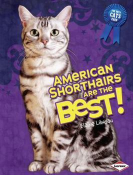 Library Binding American Shorthairs Are the Best! Book