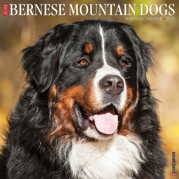 Calendar Just Bernese Mountain Dog 2021 Wall Calendar (Dog Breed Calendar) Book