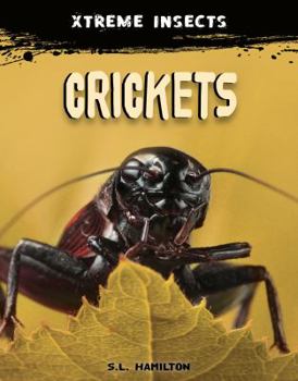 Crickets - Book  of the Xtreme Insects
