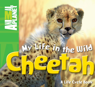 Hardcover Cheetah Book