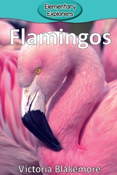 Paperback Flamingos Book