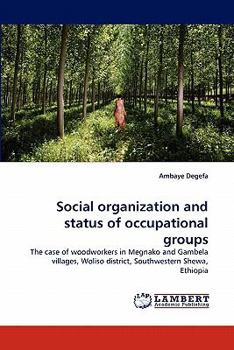 Paperback Social Organization and Status of Occupational Groups Book