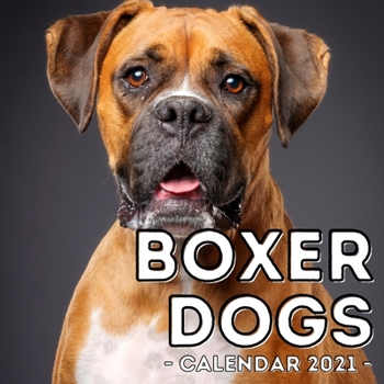 Paperback Boxer Dogs Calendar 2021: 16-Month Calendar, Cute Gift Idea For Boxer Dog Lovers Men & Women Book