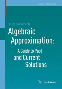 Paperback Algebraic Approximation: A Guide to Past and Current Solutions Book