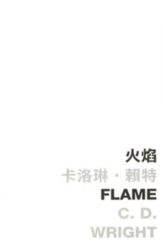 Paperback Flame Book