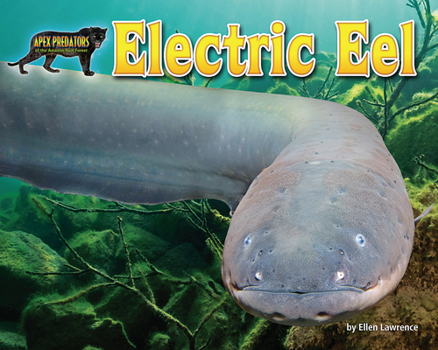 Electric Eel - Book  of the Apex Predators of the Amazon Rain Forest