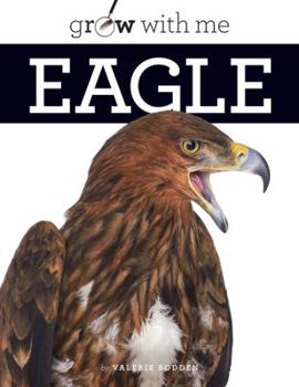 Paperback Eagle Book