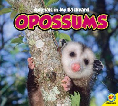 Paperback Opossums: Animals in My Backyard Book