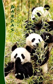 Paperback Pandas Notebook: Gifts / Presents ( Chinese Giant Panda Bears Ruled Notebook ) Book