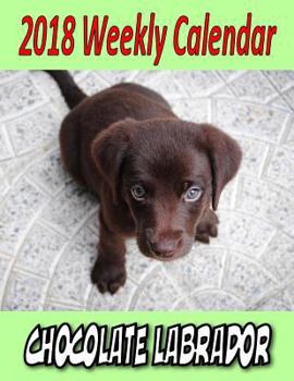 Paperback 2018 Weekly Calendar Chocolate Labrador Book