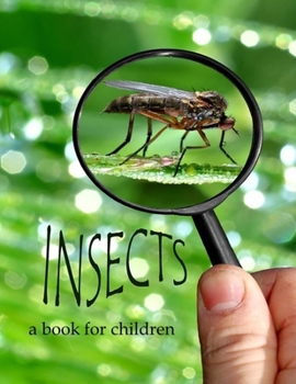 Insects - a book for children: All about insects (The wonderful world of insects)