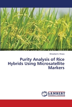 Paperback Purity Analysis of Rice Hybrids Using Microsatellite Markers Book