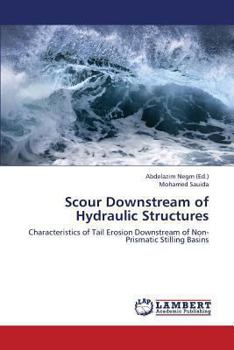 Paperback Scour Downstream of Hydraulic Structures Book