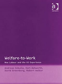 Hardcover Welfare-To-Work: New Labour and the Us Experience Book