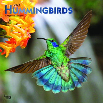 Calendar Hummingbirds 2023 Square Foil Book