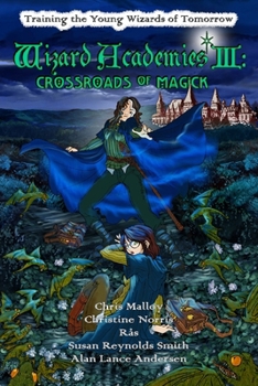 Paperback Wizard Academies III - Crossroads of Magick Book