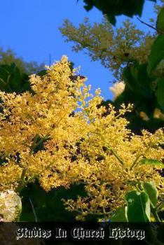 Paperback Studies In Church History: Volume 2 Centuries 9 - 14 Book