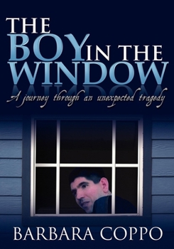 Paperback The Boy in the Window: A Journey Through an Unexpected Tragedy Book