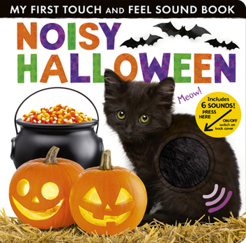 Board book Noisy Halloween: My First Touch and Feel Sound Book