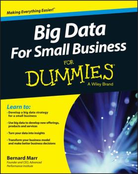 Paperback Big Data for Small Business for Dummies Book